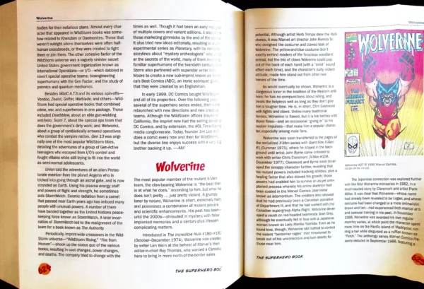 The Superhero Book (2004) - Image 12