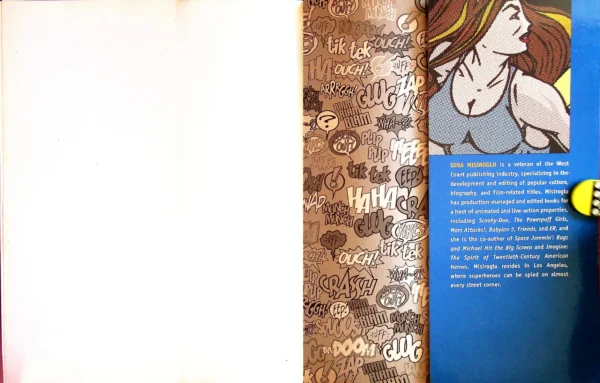 The Superhero Book (2004) - Image 13