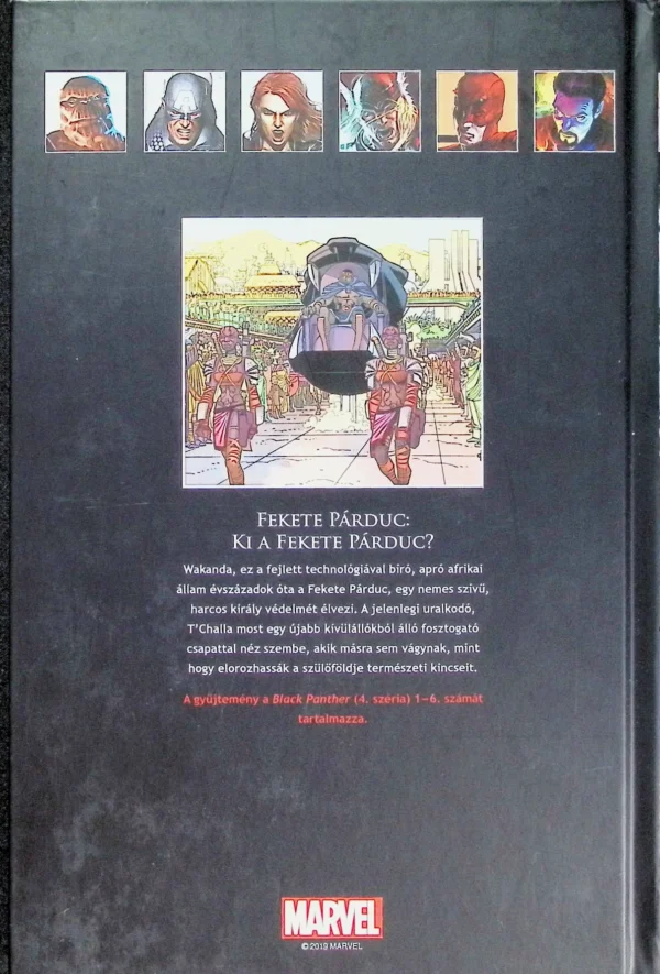 NMK 51 - Fekete Párduc: Ki a Fekete Párduc? - Image 3