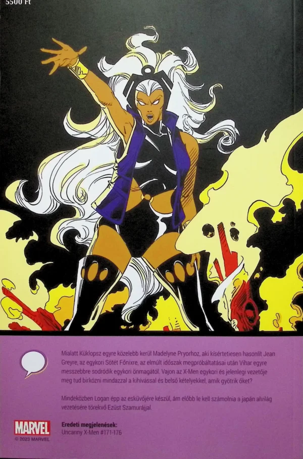 A Rejtélyes X-Men - Döntések - Image 3