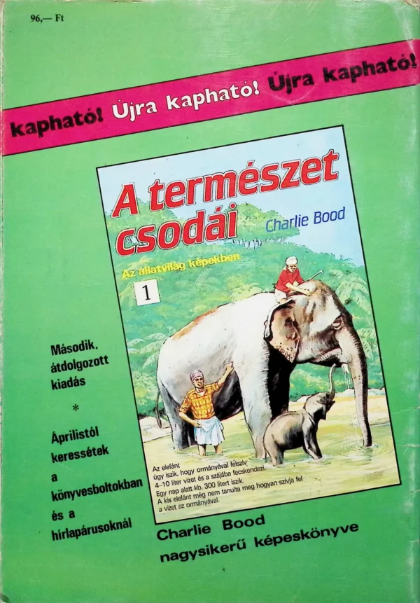 A Csodálatos Pókember és a Démonirtó˙(1990) - Image 3