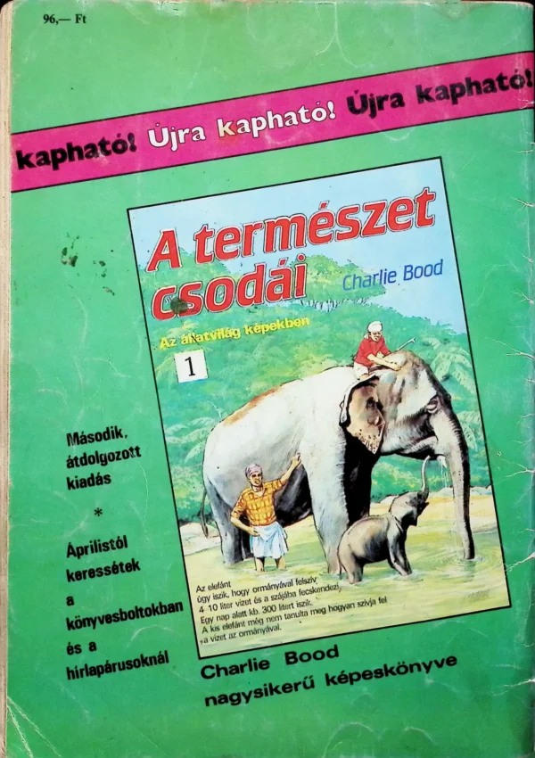 A Csodálatos Pókember és a Démonirtó˙(1990) - Image 3
