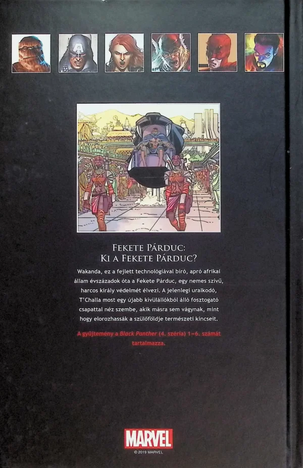 NMK 51 - Fekete Párduc: Ki a Fekete Párduc? - Image 3