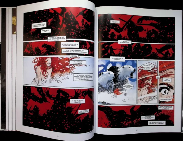 Conan, a barbár - Elveszett Legendák 3. (limitált) - sorszámozott - Image 7